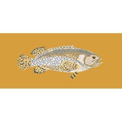 Brindled Grouper Needlepoint Kit Kits Elizabeth Bradley Design Yellow 
