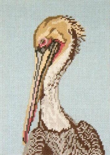 Brown Pelican Head on 18 Painted Canvas Needle Crossings 