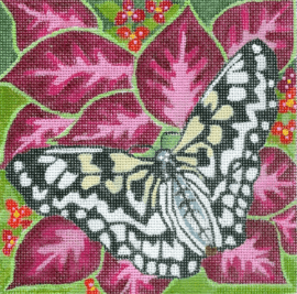 Butterfly 2 Painted Canvas Melissa Prince Designs 