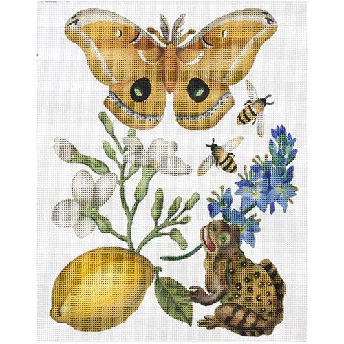 Butterfly Botanical with Frog Painted Canvas Melissa Shirley Designs  - 1