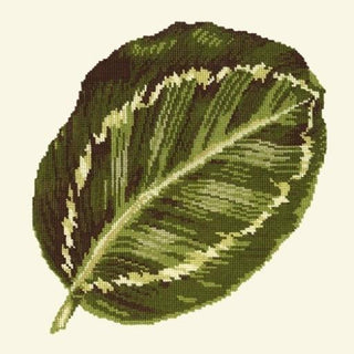 Calathea Leaf Needlepoint Kit Kits Elizabeth Bradley Design 
