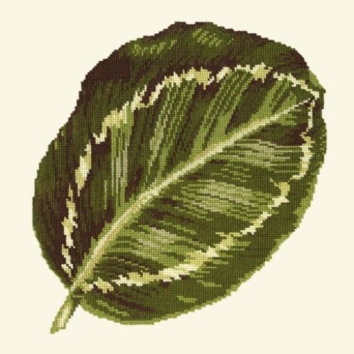 Calathea Leaf Needlepoint Kit Kits Elizabeth Bradley Design 

