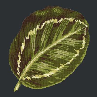 Calathea Leaf Needlepoint Kit Kits Elizabeth Bradley Design Black 
