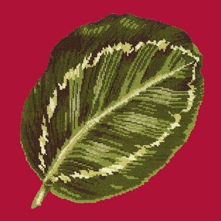 Calathea Leaf Needlepoint Kit Kits Elizabeth Bradley Design Bright Red 
