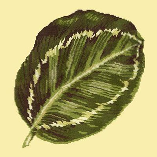 Calathea Leaf Needlepoint Kit Kits Elizabeth Bradley Design Butter Yellow 
