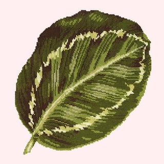 Calathea Leaf Needlepoint Kit Kits Elizabeth Bradley Design Cream 
