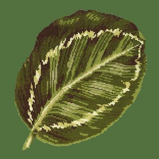 Calathea Leaf Needlepoint Kit Kits Elizabeth Bradley Design Dark Green 
