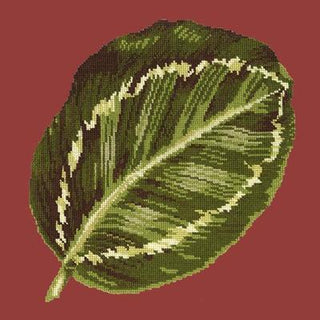 Calathea Leaf Needlepoint Kit Kits Elizabeth Bradley Design Dark Red 
