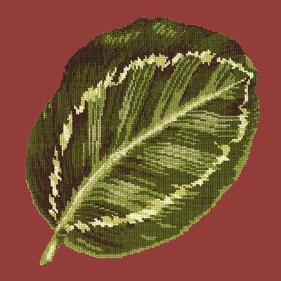 Calathea Leaf Needlepoint Kit Kits Elizabeth Bradley Design Dark Red 
