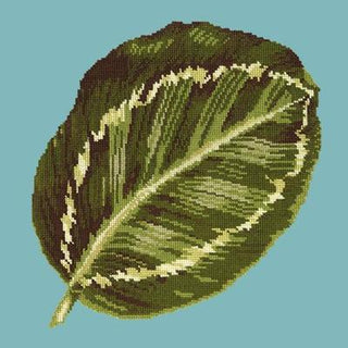 Calathea Leaf Needlepoint Kit Kits Elizabeth Bradley Design Duck Egg Blue 
