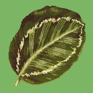 Calathea Leaf Needlepoint Kit Kits Elizabeth Bradley Design Grass Green 

