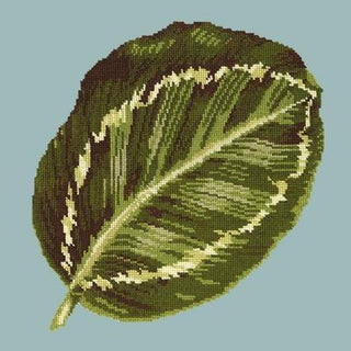 Calathea Leaf Needlepoint Kit Kits Elizabeth Bradley Design Pale Blue 
