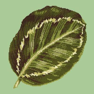 Calathea Leaf Needlepoint Kit Kits Elizabeth Bradley Design Pale Green 
