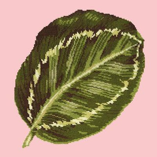 Calathea Leaf Needlepoint Kit Kits Elizabeth Bradley Design Pale Rose 
