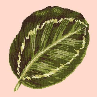 Calathea Leaf Needlepoint Kit Kits Elizabeth Bradley Design Salmon Pink 
