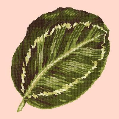 Calathea Leaf Needlepoint Kit Kits Elizabeth Bradley Design Salmon Pink 
