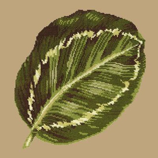 Calathea Leaf Needlepoint Kit Kits Elizabeth Bradley Design Sand 
