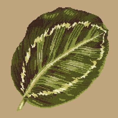 Calathea Leaf Needlepoint Kit Kits Elizabeth Bradley Design Sand 
