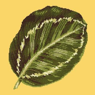 Calathea Leaf Needlepoint Kit Kits Elizabeth Bradley Design Sunflower Yellow 

