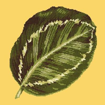 Calathea Leaf Needlepoint Kit Kits Elizabeth Bradley Design Sunflower Yellow 
