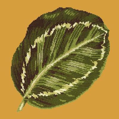 Calathea Leaf Needlepoint Kit Kits Elizabeth Bradley Design Yellow 
