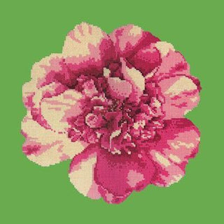 Camellia Blossom Needlepoint Kit Kits Elizabeth Bradley Design 
