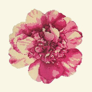 Camellia Blossom Needlepoint Kit Kits Elizabeth Bradley Design 
