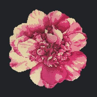 Camellia Blossom Needlepoint Kit Kits Elizabeth Bradley Design 
