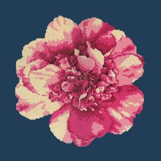 Camellia Blossom Needlepoint Kit Kits Elizabeth Bradley Design 
