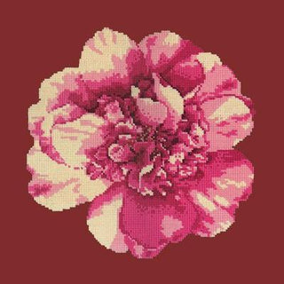 Camellia Blossom Needlepoint Kit Kits Elizabeth Bradley Design 
