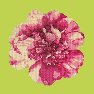 Camellia Blossom Needlepoint Kit Kits Elizabeth Bradley Design 
