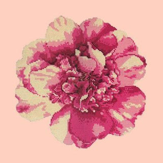 Camellia Blossom Needlepoint Kit Kits Elizabeth Bradley Design 
