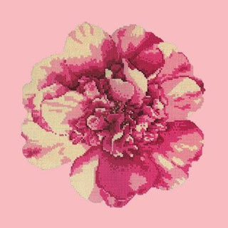 Camellia Blossom Needlepoint Kit Kits Elizabeth Bradley Design 
