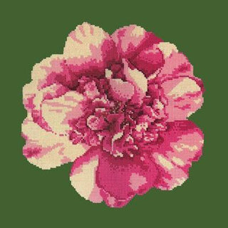 Camellia Blossom Needlepoint Kit Kits Elizabeth Bradley Design 

