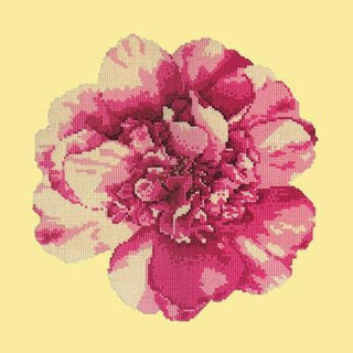 Camellia Blossom Needlepoint Kit Kits Elizabeth Bradley Design 
