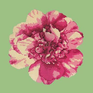 Camellia Blossom Needlepoint Kit Kits Elizabeth Bradley Design 
