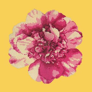 Camellia Blossom Needlepoint Kit Kits Elizabeth Bradley Design 

