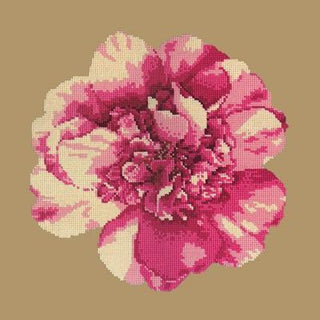 Camellia Blossom Needlepoint Kit Kits Elizabeth Bradley Design 
