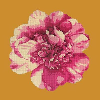 Camellia Blossom Needlepoint Kit Kits Elizabeth Bradley Design 
