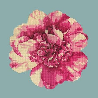 Camellia Blossom Needlepoint Kit Kits Elizabeth Bradley Design 
