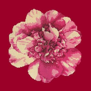 Camellia Blossom Needlepoint Kit Kits Elizabeth Bradley Design 
