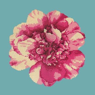 Camellia Blossom Needlepoint Kit Kits Elizabeth Bradley Design 
