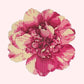 Camellia Blossom Needlepoint Kit Kits Elizabeth Bradley Design 