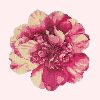 Camellia Blossom Needlepoint Kit Kits Elizabeth Bradley Design 
