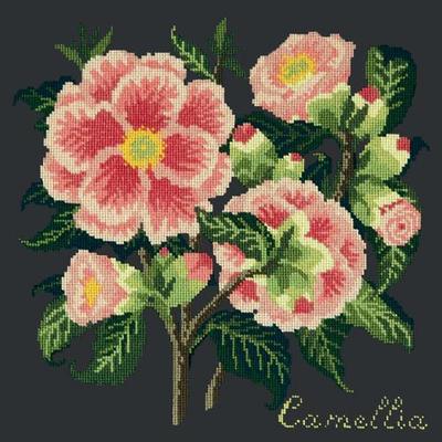 Camellia Needlepoint Kit Kits Elizabeth Bradley Design Black 

