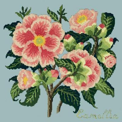 Camellia Needlepoint Kit Kits Elizabeth Bradley Design Pale Blue 
