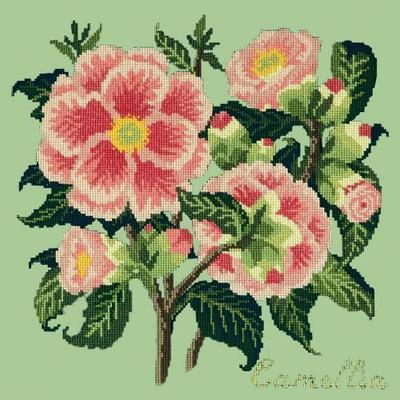 Pink camellia trammed tapestry kit, camellia needlepoint high quality cushion kit