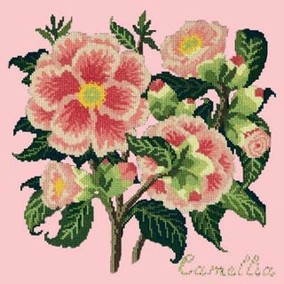 Camellia Needlepoint Kit Kits Elizabeth Bradley Design Pale Rose 
