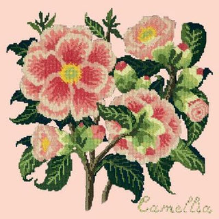 Camellia Needlepoint Kit Kits Elizabeth Bradley Design Salmon Pink 

