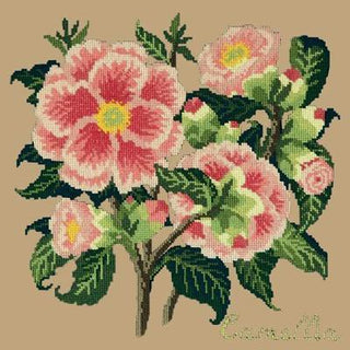 Camellia Needlepoint Kit Kits Elizabeth Bradley Design Sand 

